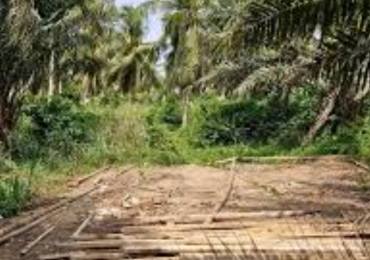 Vente de terrain a Bonoua