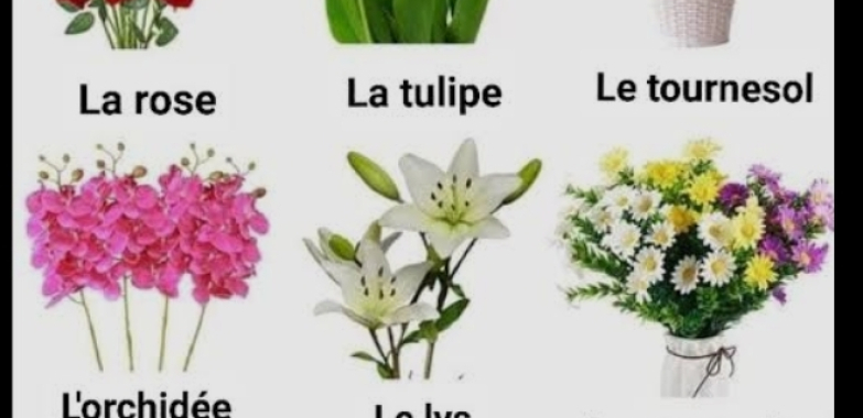 Jardinier