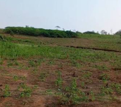 Vente de terrain a SAMO(Larabia)