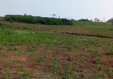 Vente de terrain a SAMO(Larabia)