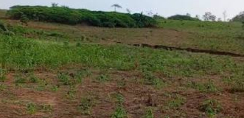 Vente de terrain a SAMO(Larabia)