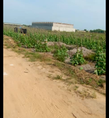 𝐕𝐄𝐍𝐓𝐄 𝐓𝐄𝐑R𝐀𝐈𝐍 𝐏𝐋𝐀T