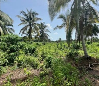 Terrain en vente a Assinie