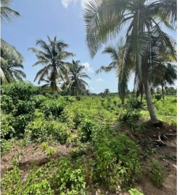 Terrain en vente a Assinie