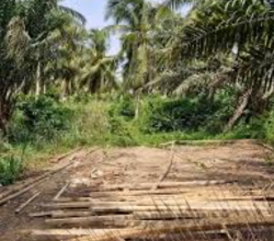 Vente de terrain a Bonoua