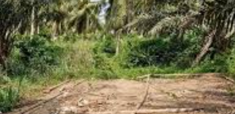 Vente de terrain a Bonoua