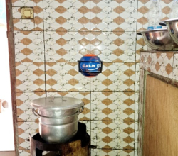 Extraction automatique